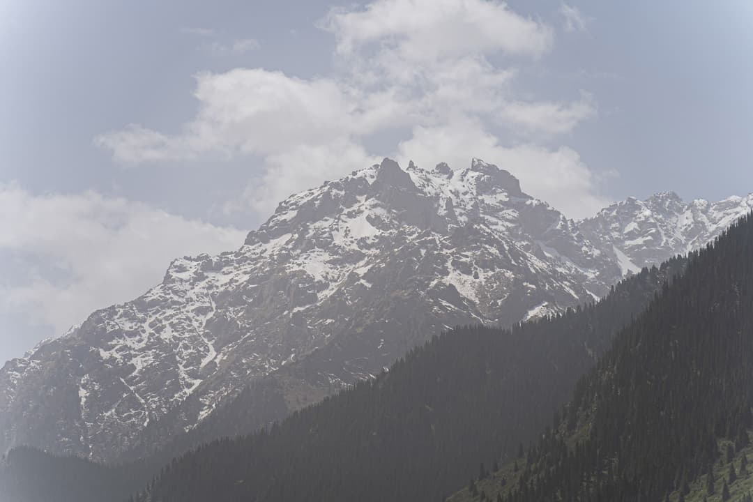 НЕ на главной