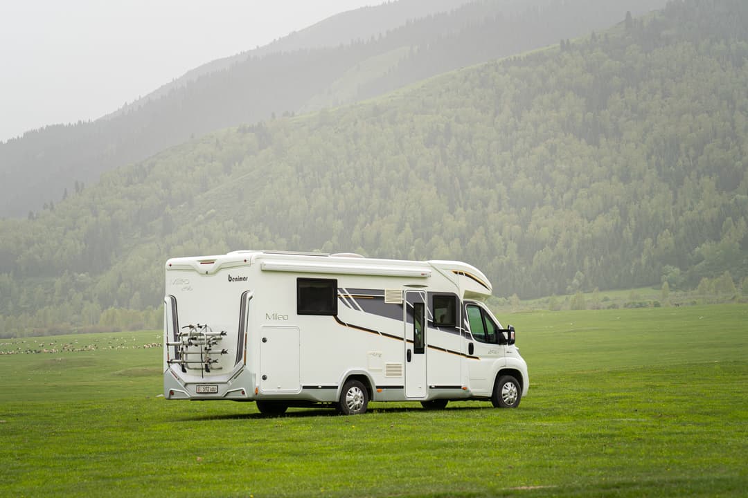 Лето – пора приключений! 💚