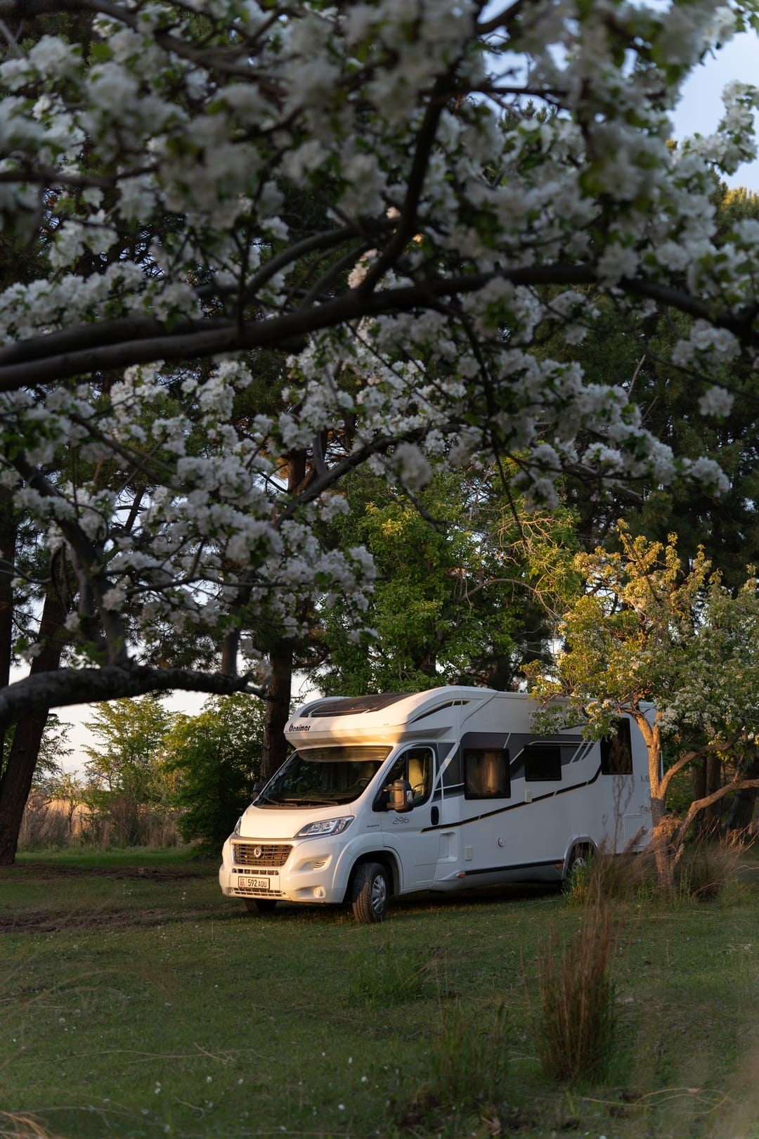 Фотографии экскурсий