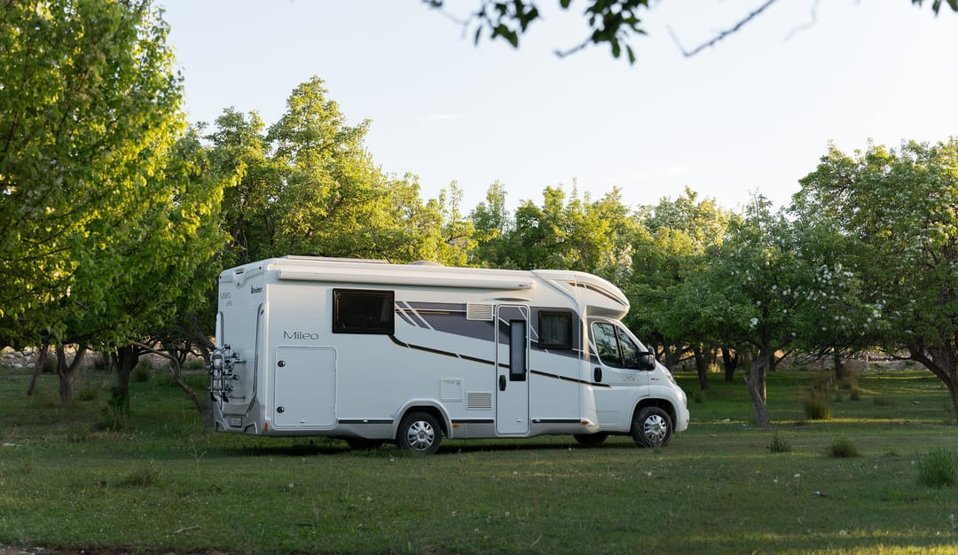 Фотографии экскурсий